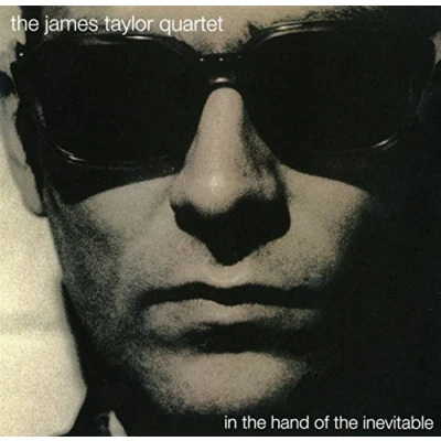 Image of In The Hand Of Inevitable (30th Anniversary Edition) [VINYL]