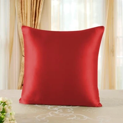 Image of townssilk Silk Pillowcase 100% 19 mm Pure Mulberry Silk, Double Sided for Hair Skin Health, with Hidden Zip, 1 Piece, 65 x cm, Red