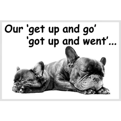 Image of French Bulldog Dog funny Fridge Magnet perfect Birthday or Christmas Gift