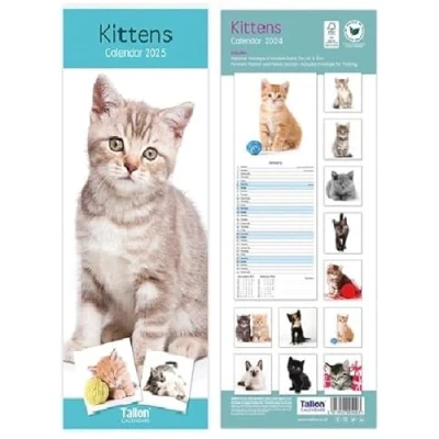 Image of Orbitron 2025 Slim Month To View Spiral Bound Photo Wall Calendar Puppies Kittens Flowers Wildlife (Kittens)