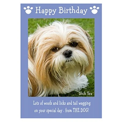 Image of Shih Tzu, Dog Birthday Card