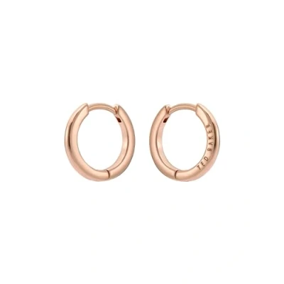 Image of Ted Baker Crisele Logo Hoop Earrings (14mm) For Women (Rose Gold)
