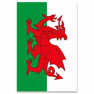 Image of Amscan 9913925 Wales Flag