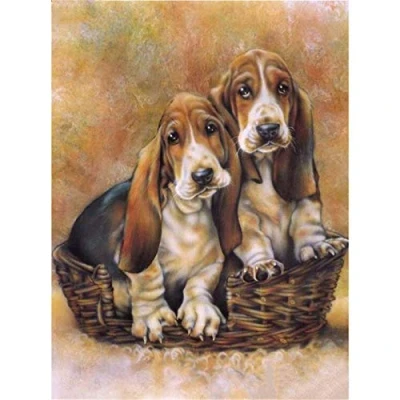 Image of DIY 5D Diamond Painting Kit Full Drill Basset Hound by Number Kits for Adults,Crystal Rhinestone Embroidery Cross Stitch Pictures Arts Crafts Home Wall Decor 30x40cm/12x16inch