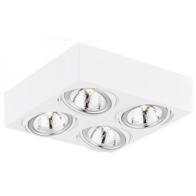 Image of Rodos Quad Surface Mounted Downlight White Structure