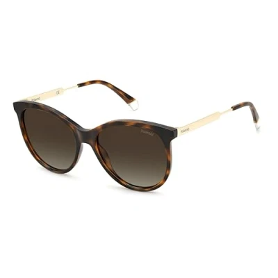 Image of Polaroid Woman PLD 4131/S/X 086/LA Sunglasses Plastic Havana Brown Round Polarized Shaded