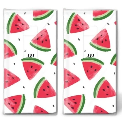 Image of 20 Individual Tissues Summer Melon Pieces 2 Packs of 10 Paper Handkerchiefs Printed Gift