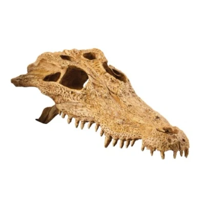 Image of Exo Terra Crocodile Skull