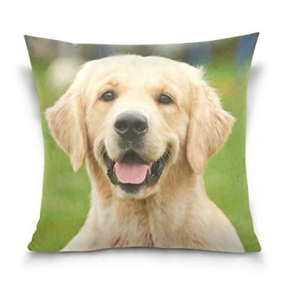 Image of Linomo Throw Pillow Cover 18x18 inch, Golden Retriever Decorative Cases Cushion for Couch Sofa Bed Home