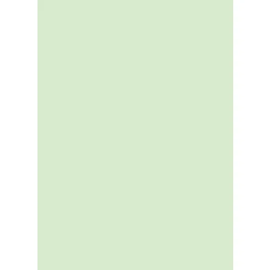 Image of DJP A4 160gsm Pale Green Coloured Craft Card (50 Sheets)