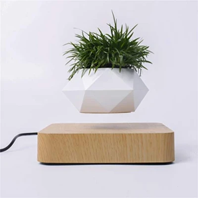 Image of Kiko ershaa Levitation Plant Pot Floating Air Bonsai Suspension Flower Planter for Desk Decoration
