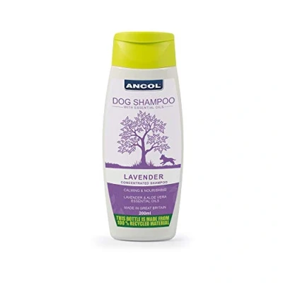 Image of Ancol Lavender Dog Shampoo 200 ml (Pack of 1)