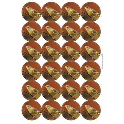 Image of Greenfinch Circular Matt Paper Stickers A4 Sheet of 24 (Each Sticker is 45mm Diameter)