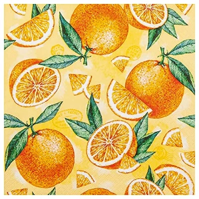 Image of 20 Napkins Fresh Orange Stems Table Decoration Decoupage Napkin Technology 33 x cm
