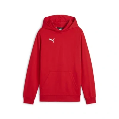 Image of PUMA teamGOAL Casuals Hoody Jr