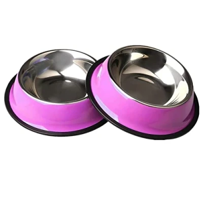 Image of ZHIYE Stainless Steel Pet Bowls for Cats 2 Piece Non slip Feeding Bowl Small Dogs