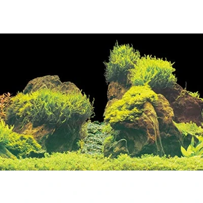 Image of Superfish Deco Poster E6 150cm x 61cm (White/Mossy Aquascape) Aquarium Background