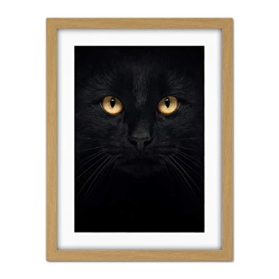 Image of Wee Blue Coo Black Cat Face Close Up Artwork Framed Wall Art Print 18X24 Inch
