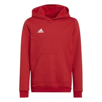 Image of adidas Performance Entrada Unisex Hoodie for kids, Size: 7 8y, Team power red
