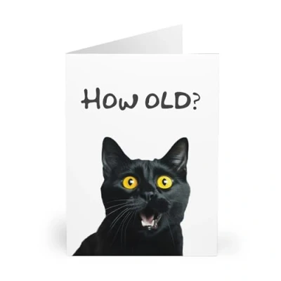 Image of Funny Cat Birthday Card How Old? 6 x 8 Inch Made in UK Includes White Envelope Blank Inside Sustainable Materials
