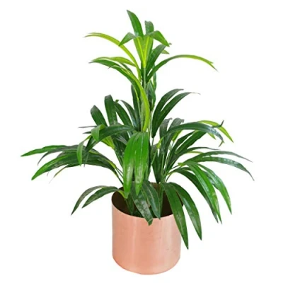 Image of Leaf 65cm Artificial Bamboo Shrub Plant with Brushed Copper Planter