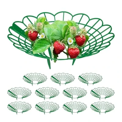 Image of Relaxdays Strawberry Support, Set of 6, Growing Rack, Snail Protection, Plant Stand, Plastic, Prevent Rot &amp; Mould, Green, 10 x 30 cm