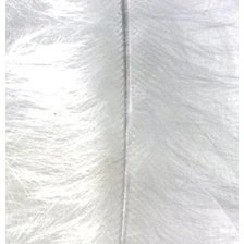 Image of Efco 1004301 Marabou 100 120 mm 2 g 20 pcs. white, Feathers, 12 x 5 cm