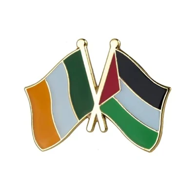Image of Ireland &amp; Palestine Friendship National Enamel Flag Pin Badge Lapel