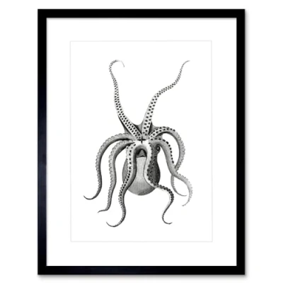 Image of Wee Blue Coo Octopus Upside Down Illustration Art Print Framed Poster Wall Decor 12x16 inch