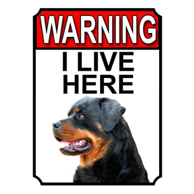 Image of WARNING I LIVE HERE METAL GATE SIGN ROTTWEILER THEME 200MM X 150MM (1348H1)