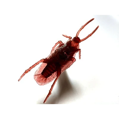 Image of Sneaky Cockroach Geocache Nano Tube Container Logged &amp; Ready to Hide Waterproof