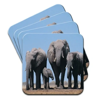Image of Elephant Set of 4 Coasters