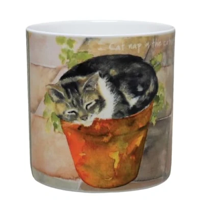 Image of Tabby Cat Catnip Nap Little Dog Laughed Mug in Gift Box Digs &amp; Manor Range LDM53