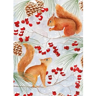 Image of Museums &amp; Galleries Charity Christmas Cards Red Squirrels on Snowy Winter Branches Eco Friendly and Recyclable Pack of 8