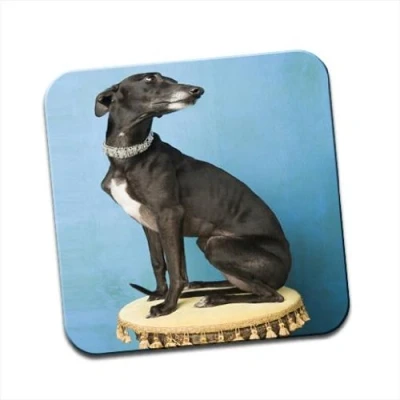 Image of Whippet Dog Sitting On Drums Single Coaster