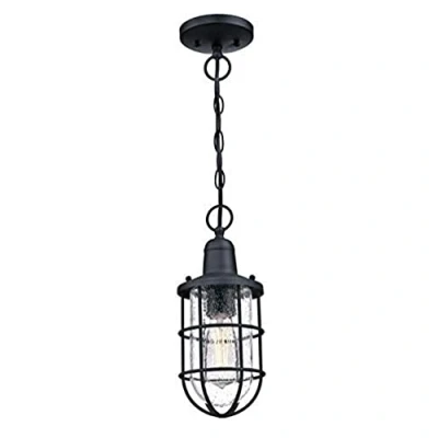 Image of Westinghouse One Light Outdoor Pendant