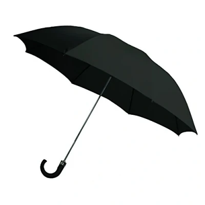 Image of Rainbrella 2 Fold Auto Open Umbrella with Storage Sleeve and Plastic Hook Handle, Black, 42&quot;