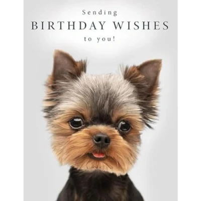 Image of Piccadilly Greetings Sending Birthday Wishes to You! Card Puppy Dog 8 x 6 inches