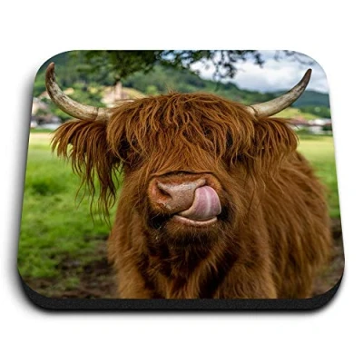 Image of 1 x Square MDF Fridge Magnet Brown Highland Cow Cattle 44472