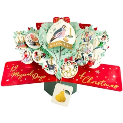 Image of 12 Days Xmas Pop Up Christmas Greeting Card Second Nature 3D Cards Ups XPOP071