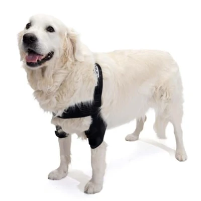 Image of Ortocanis Elbow Orthosis for Dogs with Arthritis, Hygromas or Shoulder Dislocation, Size M