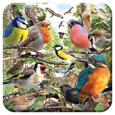Image of 3D LiveLife Cork Coaster Nature&#039;s Home from Deluxebase. Lenticular Bird Coaster. Non slip drinks mat with original artwork licensed renowned artist, David Penfound