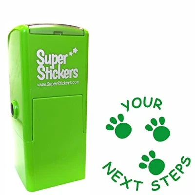 Image of Teacher Stamp, Education Marking Reward Stamps for School Your Next Steps, Impression Size Approx. 23x23 mm, Green Ink