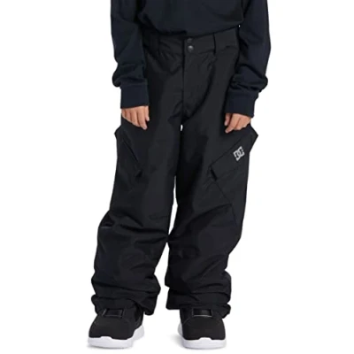 Image of DC Shoes Banshee Technical Snow Pants for Kids