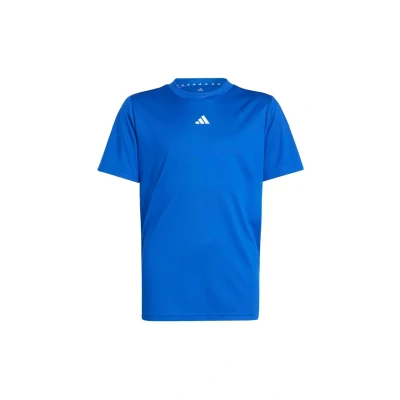 Image of adidas Unisex Kids Train Essentials Logo Regular Fit T Shirt Junior, Royal Blue/White, 7 8 Years