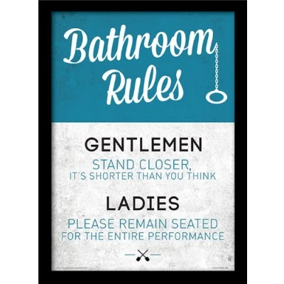 Image of Pyramid International Bathroom Rules Framed Print Memorabilia, Multi Colour, 30 x 40 cm
