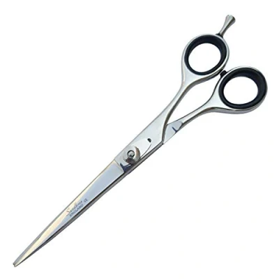 Image of Professional Hair Cutting Scissors 6.5 inch Hairdressing Regular Shears for Barber Salon Razor Edge Stainless Steel with Finger Rest .BS6.5&quot;
