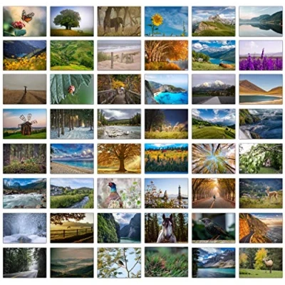 Image of 48 Landscape Photo Greeting Cards with Plain Blue Envelopes