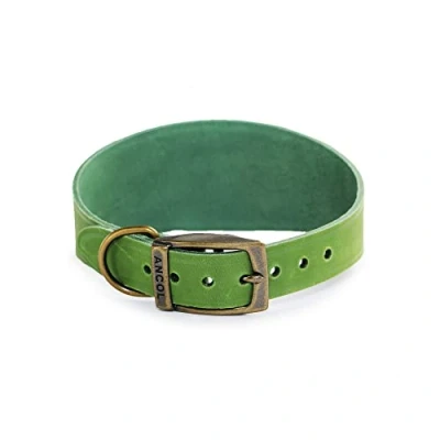 Image of Ancol Timberwolf Whippet Leather Collar Green, 30 34 cm
