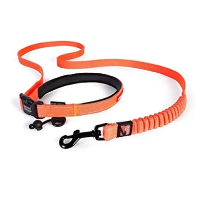 Image of EzyDog Road Runner Lead Running Lead, Small Dogs, Medium Large Sturdy Dog Comfortable Padded Handle, Reflective Thread, 1.8M (Orange)